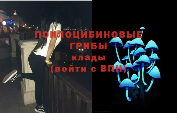 ECSTASY Елабуга