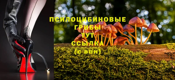 спиды Елизово