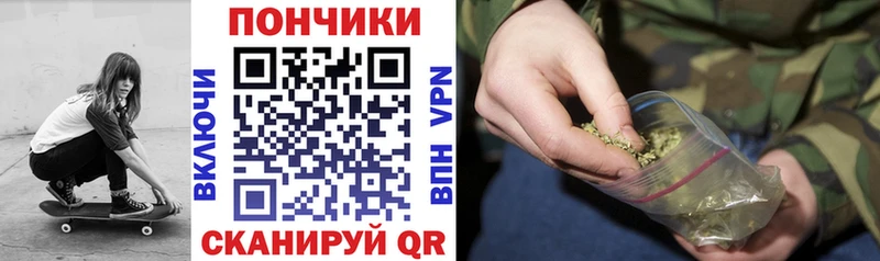darknet телеграм  Шуя  Конопля SATIVA & INDICA 